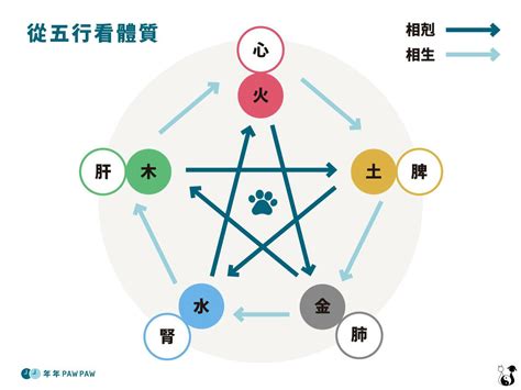 寵物五行|你家毛小孩是水性或火性？這不是神奇寶貝 是神奇「。